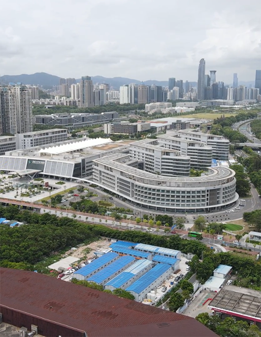 The University of Hong Kong SZ Hospital